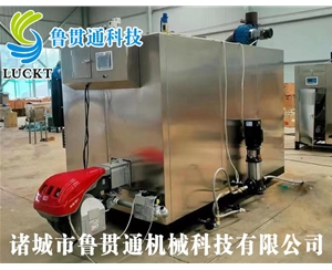 1噸燃?xì)猓ㄓ停┱羝l(fā)生器 現(xiàn)貨供應(yīng)，工廠直銷，規(guī)格型號(hào)眾多，可來(lái)電咨詢