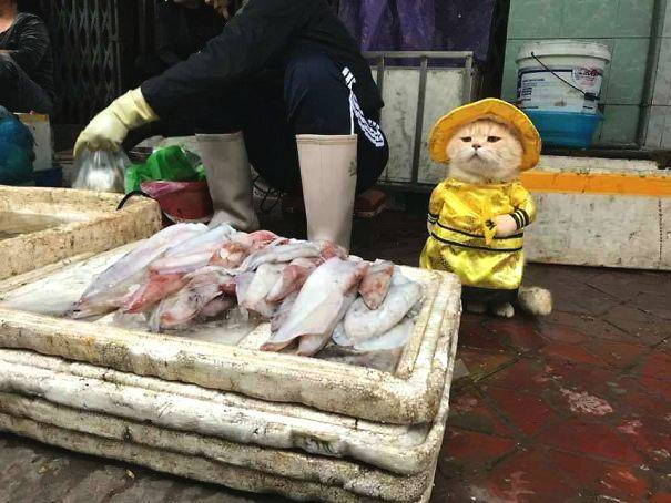 詹姆斯和妻子玩趣味游戲 宣傳韋德主持的游戲綜藝